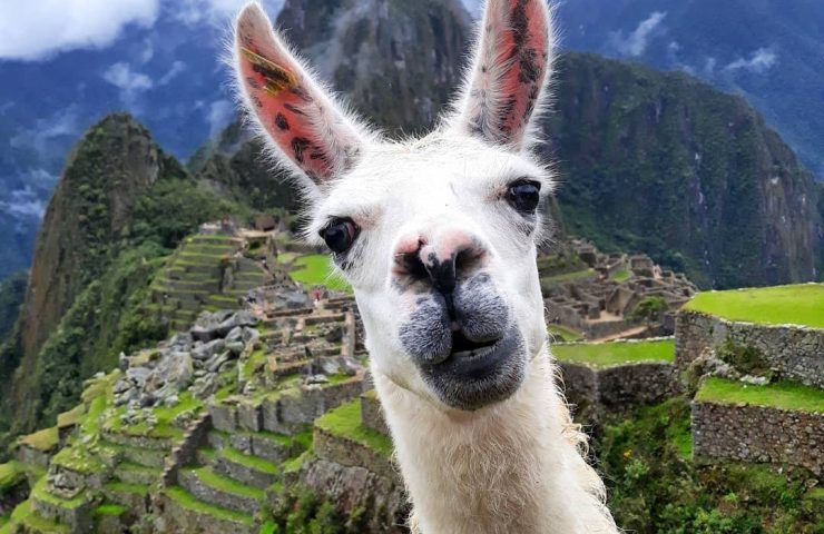 ¿CUÁL ES LA MEJOR TEMPORADA PARA VIAJAR A CUSCO?